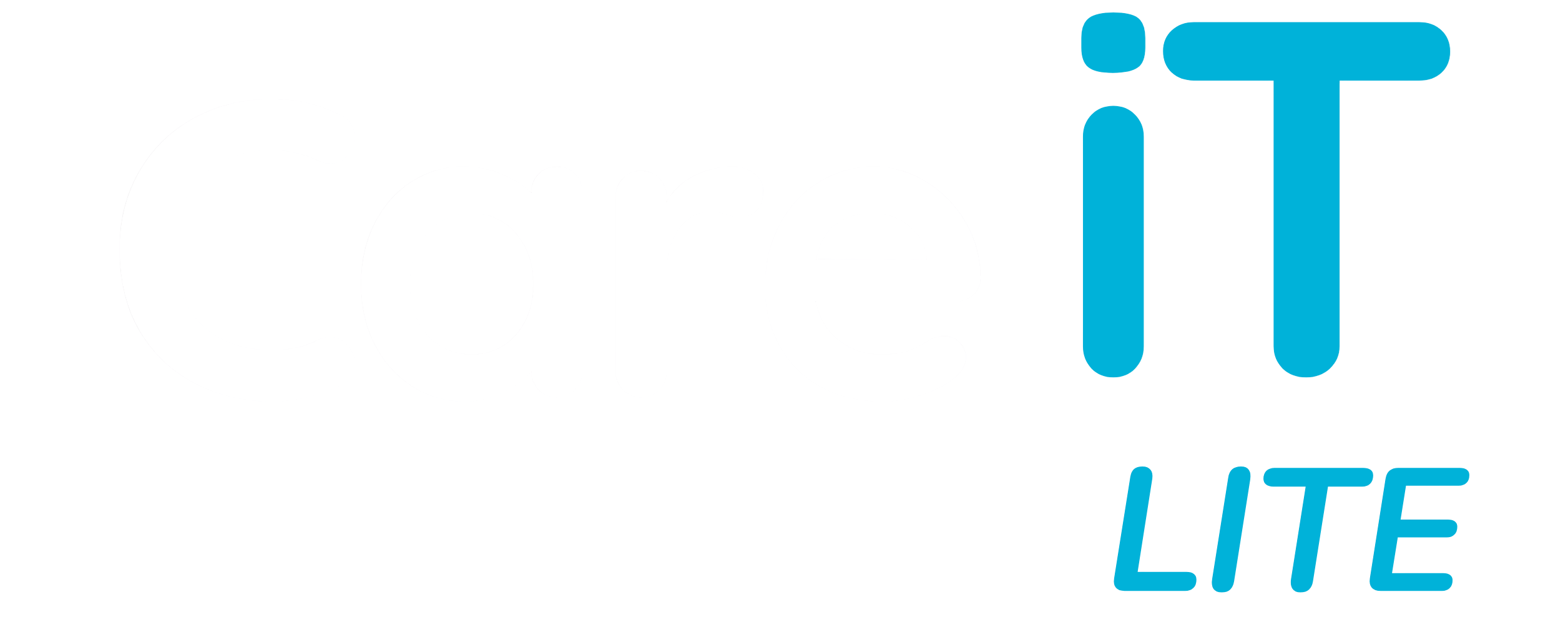 CareIT Lite